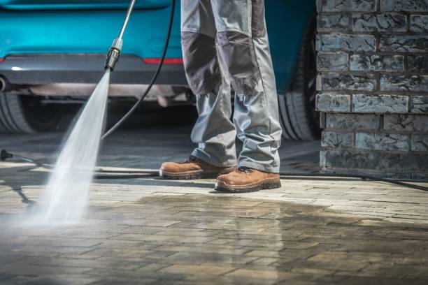 Best Soft Washing for Delicate Surfaces in Tomah, WI