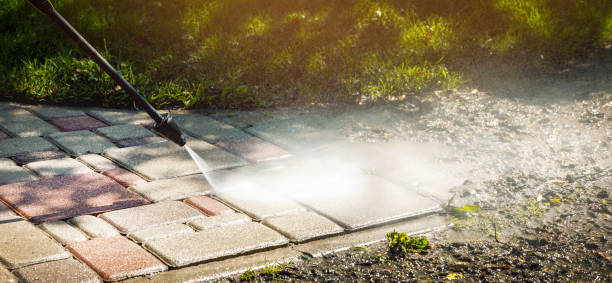 Best Driveway Cleaning and Restoration in Tomah, WI
